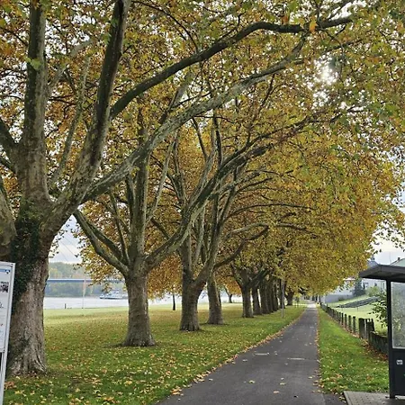 Gemuetliche Zwei Am Rhein Weissenthurm