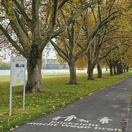 Gemuetliche Zwei Am Rhein * Weissenthurm