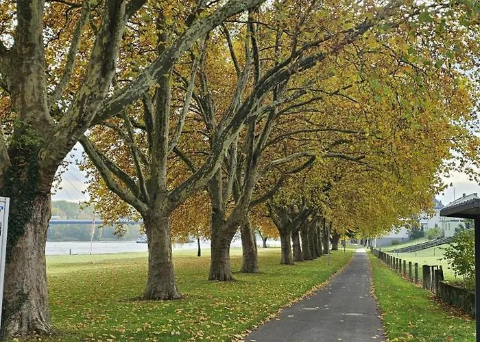 Gemuetliche Zwei Am Rhein * Weissenthurm
